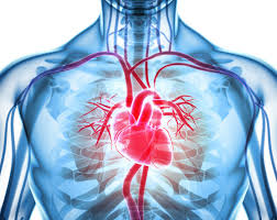 Corona Virus & Heart Health